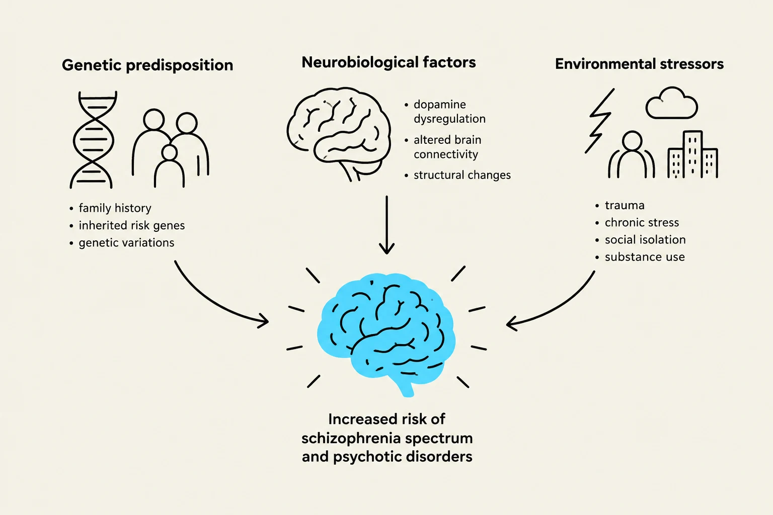 This diagram illustrates the multifactorial nature of increased risk for schizophrenia spectrum and psychotic disorders, highlighting genetic predisposition, neurobiological factors, and environmental stressors.