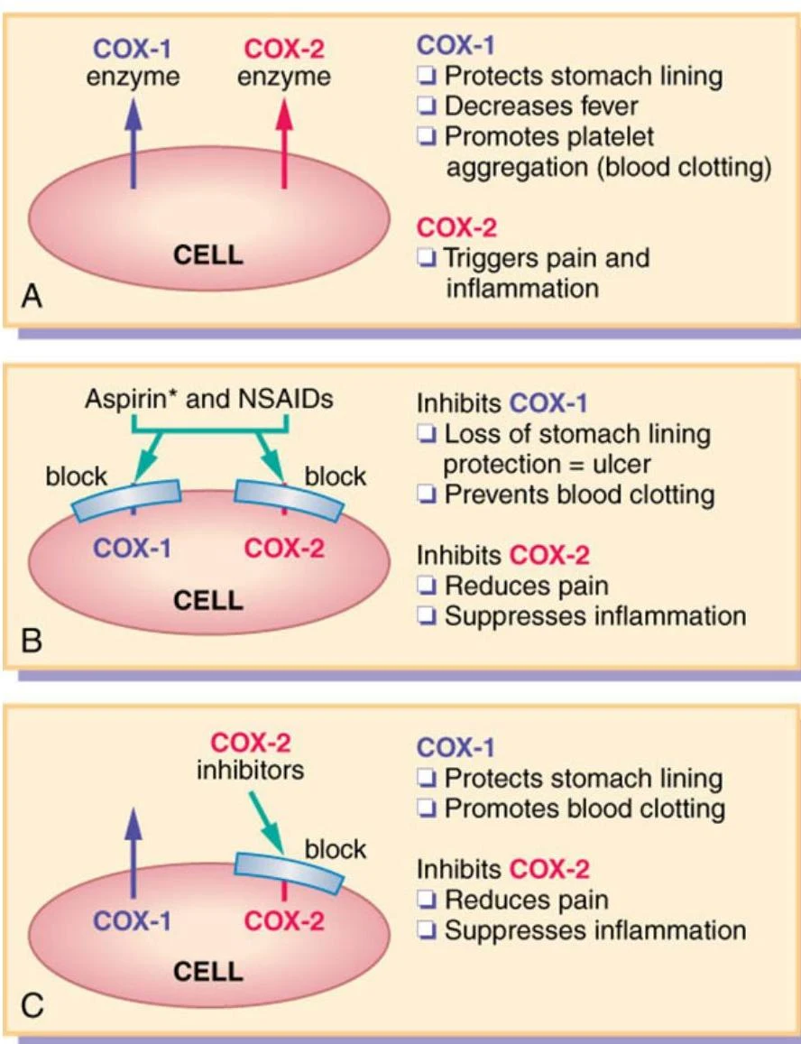 Diagram illustrating the roles of COX-1 and COX-2 enzymes and the effects of Aspirin and NSAIDs on these enzymes.