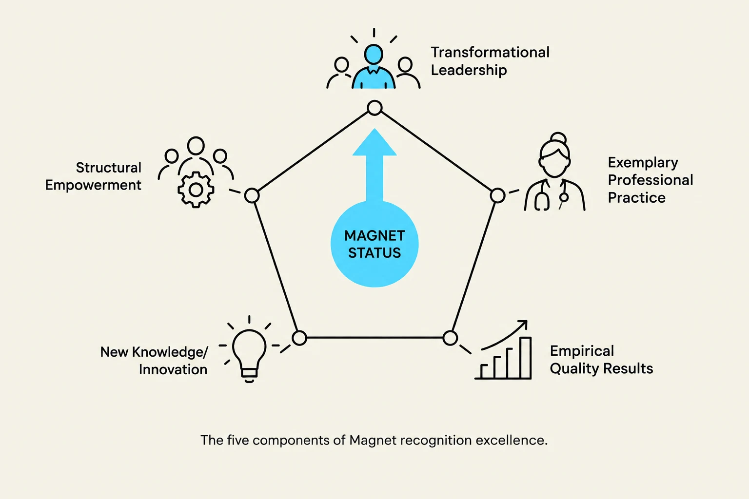 The five components of Magnet recognition excellence.