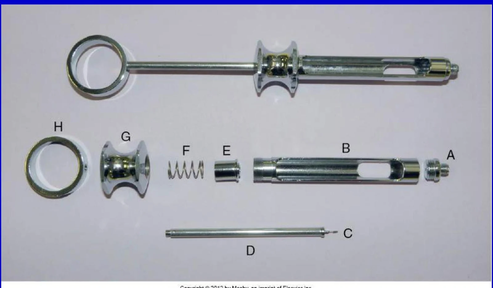 Disassembled parts of a dental anesthetic syringe.