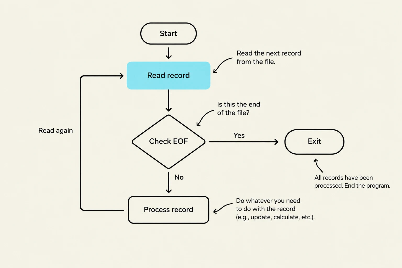 This flowchart illustrates a basic program loop for reading and processing records from a file until the end of the file (EOF) is reached.