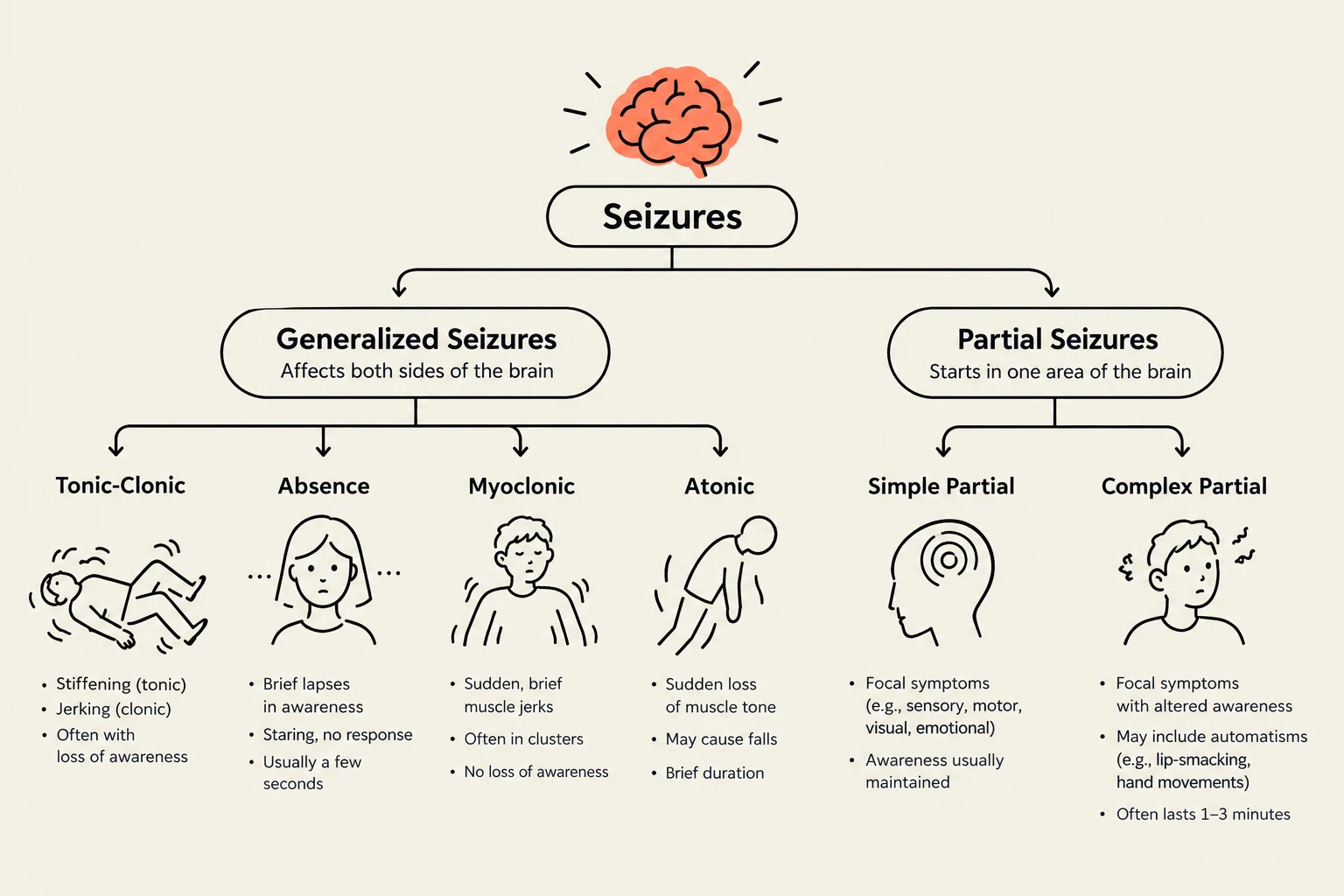 This diagram illustrates the classification of seizures, differentiating between generalized seizures (affecting both sides of the brain) and partial seizures (starting in one area of the brain), with subtypes and their characteristics.