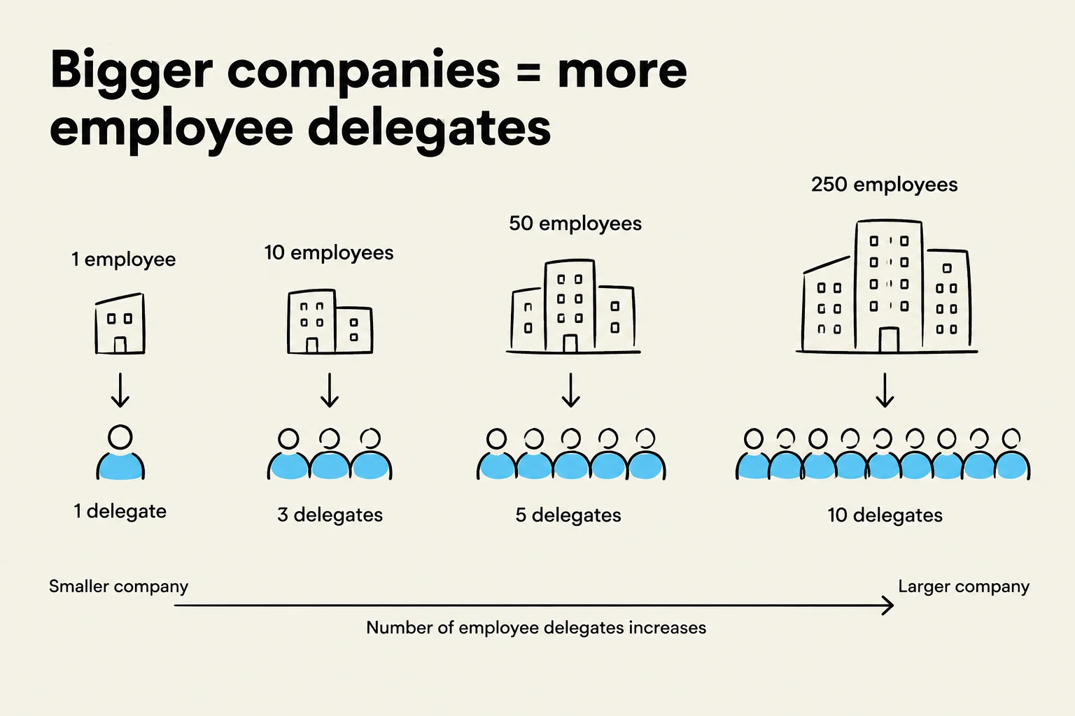 This illustration shows a correlation between company size and the number of employee delegates. As the number of employees increases, so does the number of delegates.