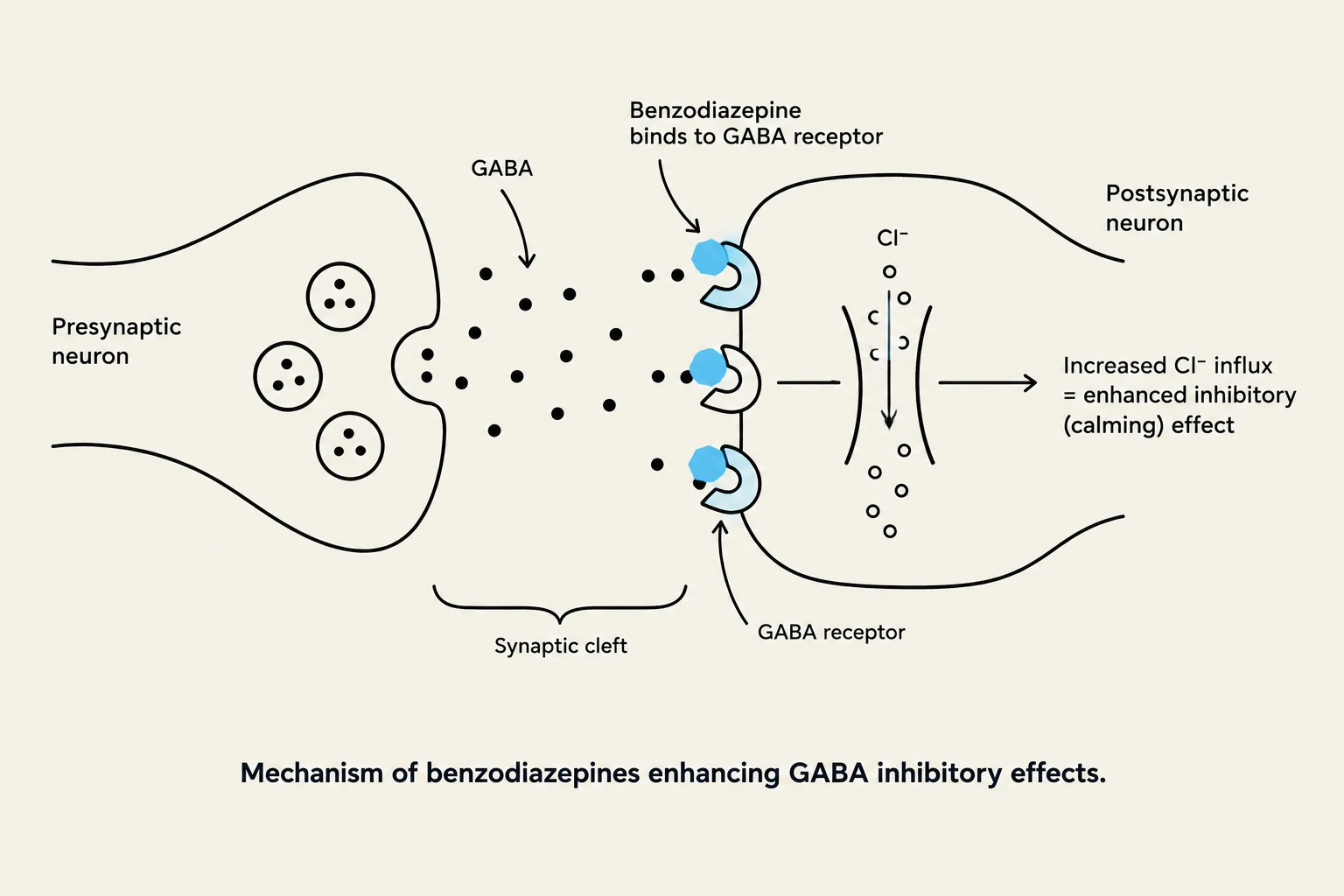 Mechanism of benzodiazepines enhancing GABA inhibitory effects.