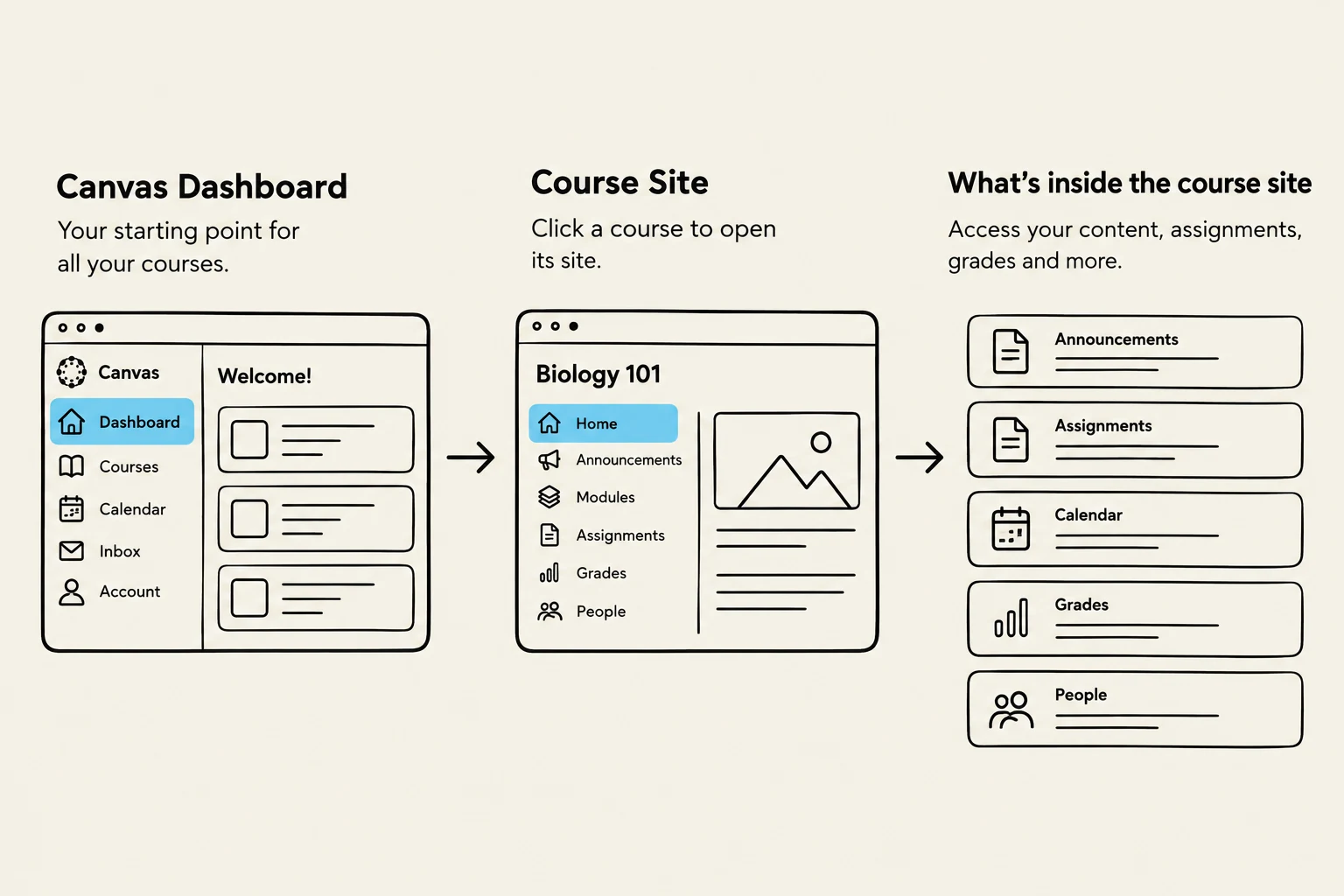 This illustration shows the navigation flow within a learning management system, from the main dashboard to a specific course site and its various sections like announcements, assignments, and grades.