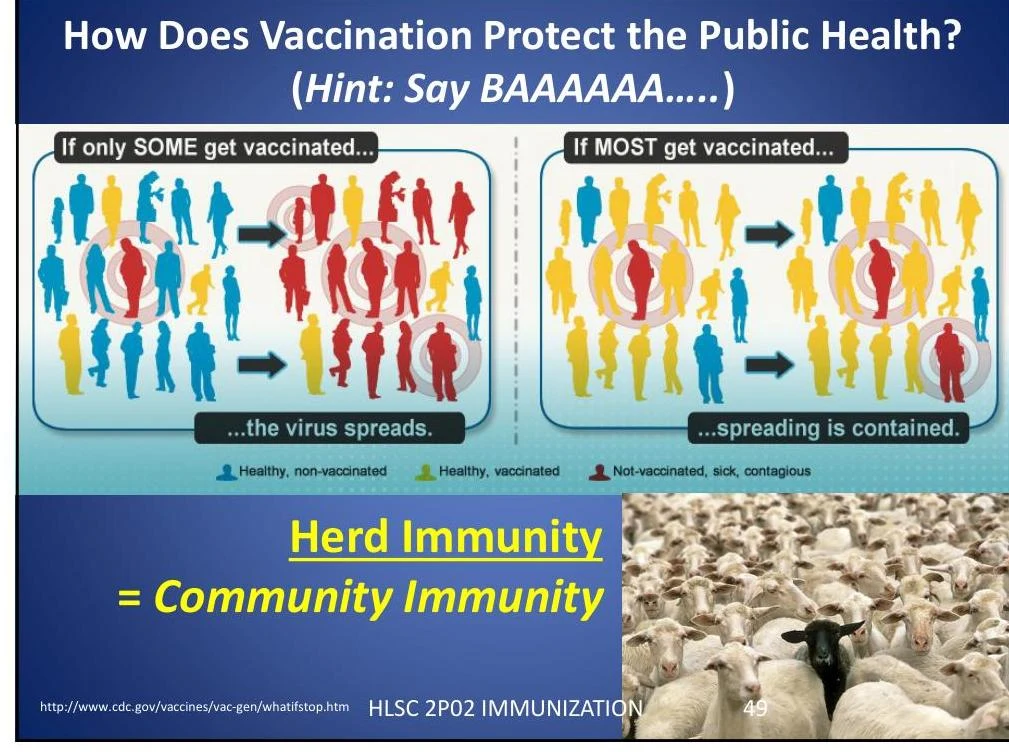 This diagram illustrates how vaccination, particularly at high rates (herd immunity), significantly reduces the spread of viruses within a community, protecting public health.