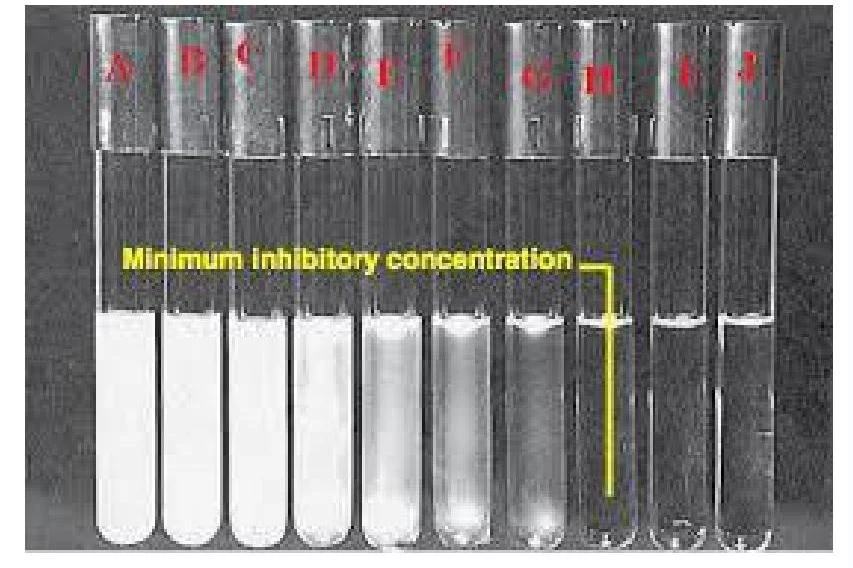 This image shows a series of test tubes with varying concentrations of a substance, illustrating the concept of minimum inhibitory concentration.