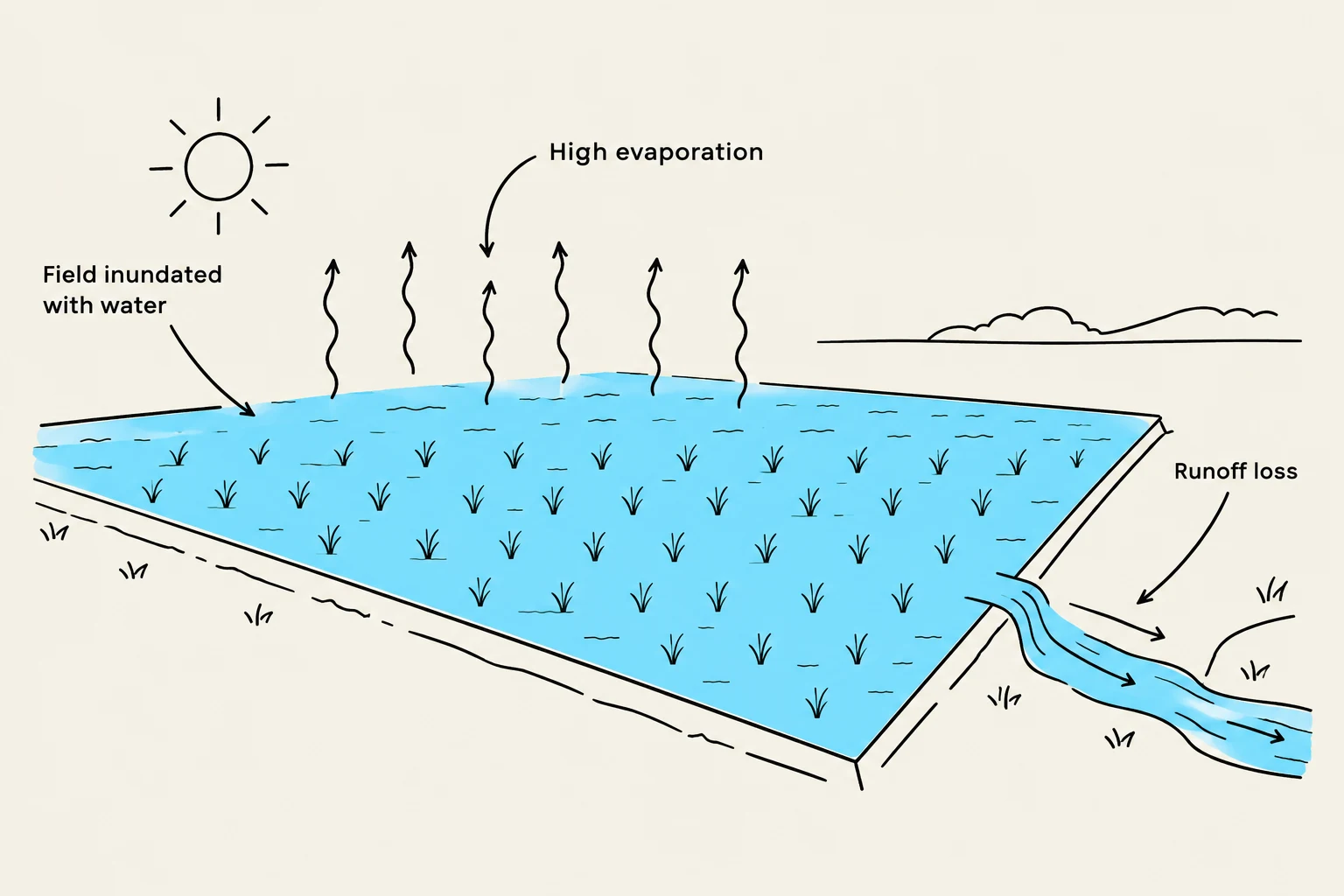 Diagram illustrating water loss from a flooded field through evaporation and runoff.