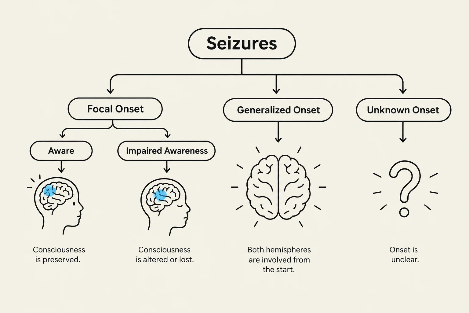 This diagram illustrates the different types of seizures, categorizing them by their onset and impact on consciousness and brain hemisphere involvement.
