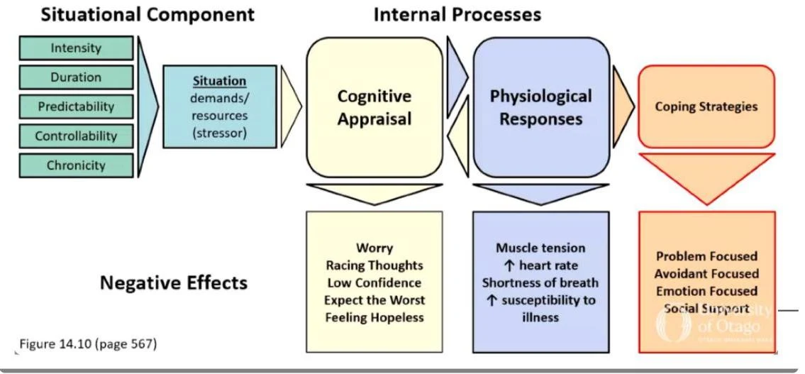 This diagram illustrates a model of stress appraisal and coping, showing how situational components influence cognitive appraisal, leading to physiological responses and negative effects, ultimately impacting coping strategies.
