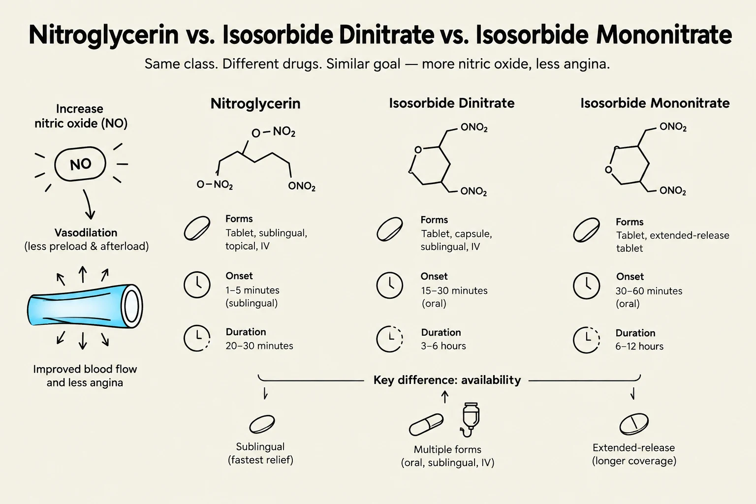 This diagram compares Nitroglycerin, Isosorbide Dinitrate, and Isosorbide Mononitrate, detailing their chemical structures, forms, onset and duration of action, and key differences in availability, illustrating their use in increasing nitric oxide for vasodilation and reducing angina.
