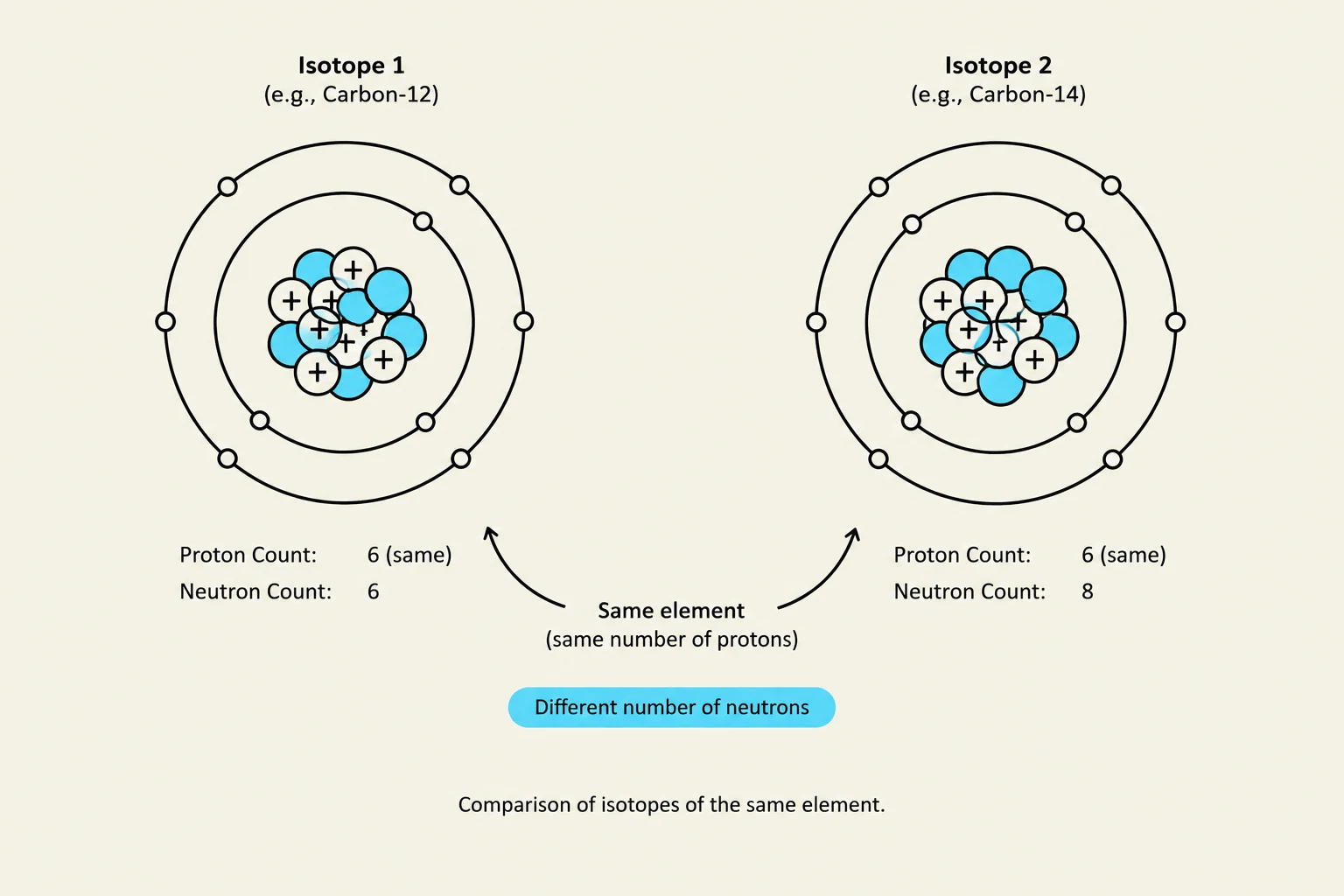 Comparison of isotopes of the same element, illustrating that isotopes have the same number of protons but different numbers of neutrons.