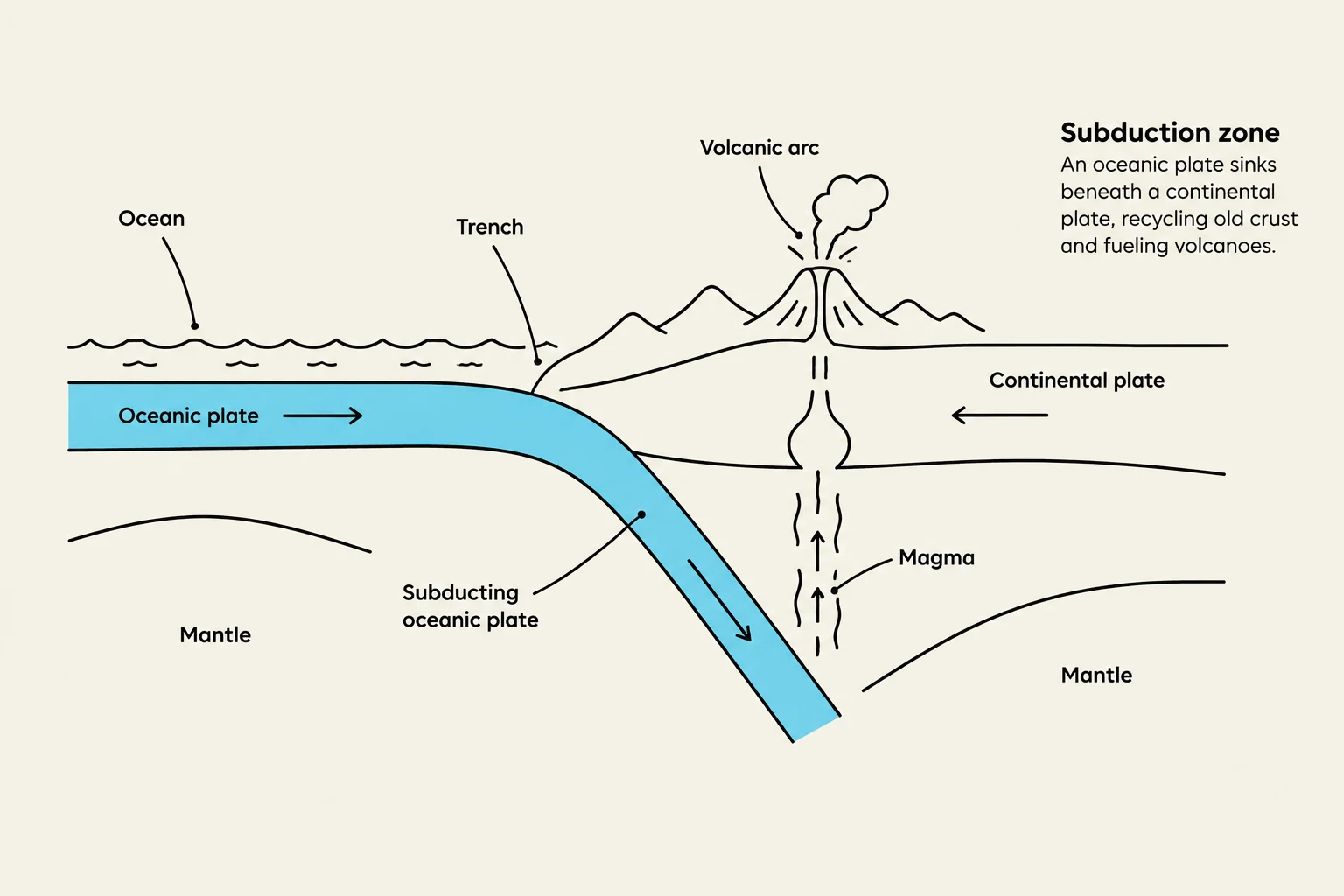 Diagram illustrating a subduction zone where an oceanic plate sinks beneath a continental plate, leading to volcanic activity.