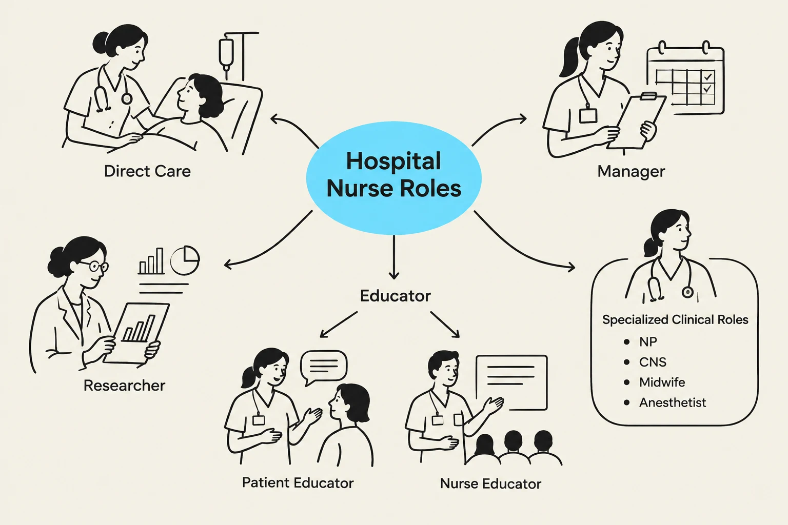 This diagram illustrates various roles of hospital nurses, including direct care, management, education, research, and specialized clinical roles such as Nurse Practitioner (NP), Clinical Nurse Specialist (CNS), Midwife, and Anesthetist.