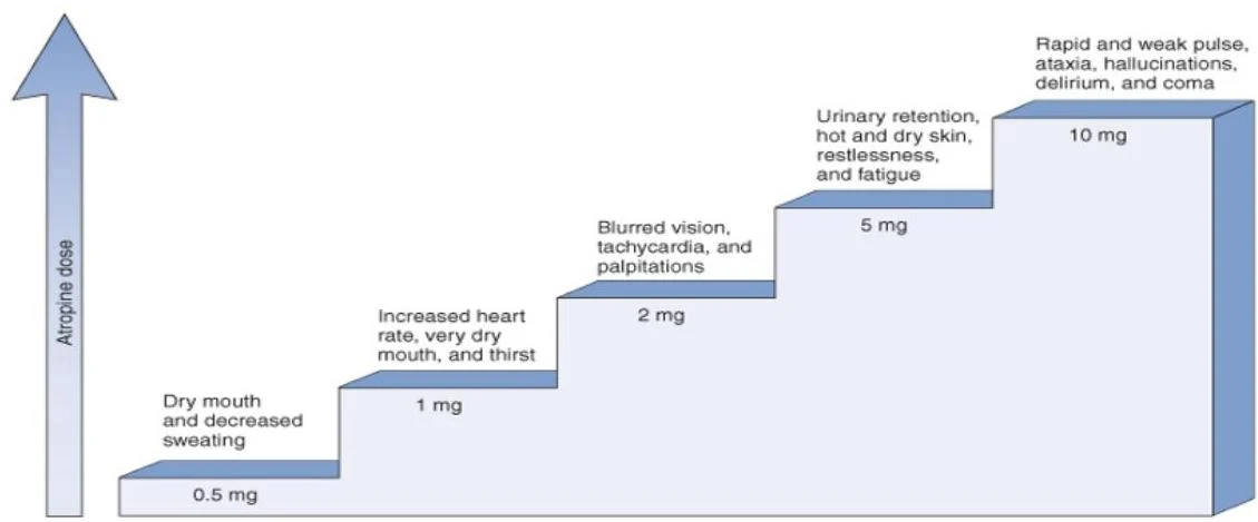 This diagram illustrates the effects of increasing doses of atropine, ranging from 0.5 mg to 10 mg, and the associated symptoms such as dry mouth, increased heart rate, blurred vision, urinary retention, and in severe cases, delirium and coma.
