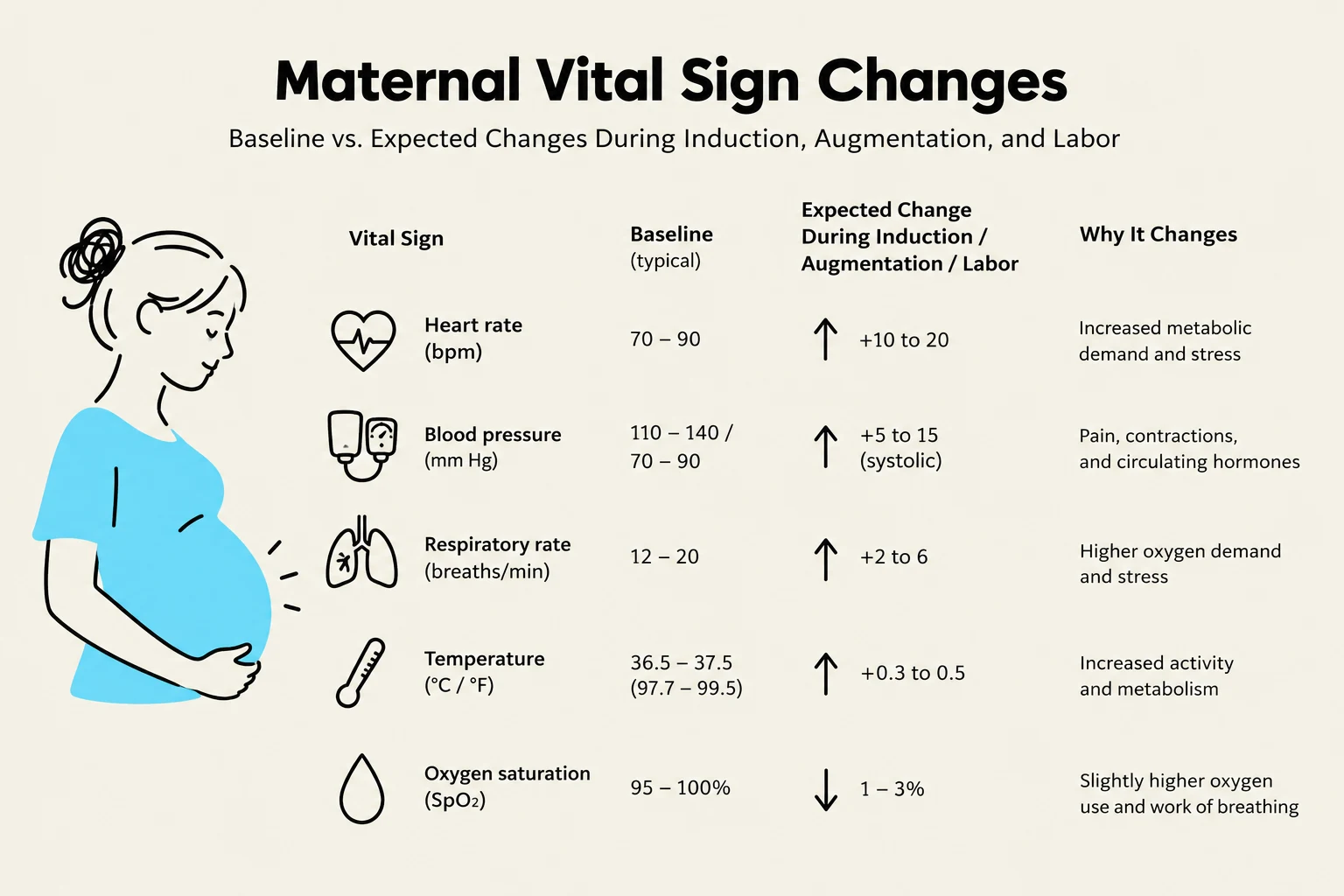 This chart illustrates typical baseline vital signs for pregnant individuals and the expected changes during labor, induction, or augmentation, along with the reasons for these changes.