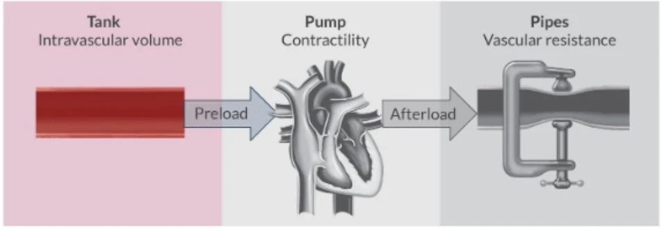Diagram illustrating the relationship between intravascular volume (preload), pump contractility (heart), and vascular resistance (afterload) in the circulatory system.