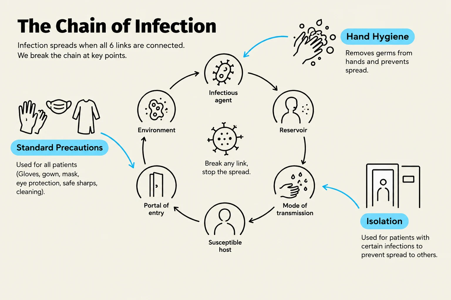 The Chain of Infection illustrates how infectious agents spread through six key links: infectious agent, reservoir, mode of transmission, portal of entry, susceptible host, and environment. Breaking any link in this chain can help stop the spread of infection. Standard precautions and hand hygiene are crucial in preventing transmission.