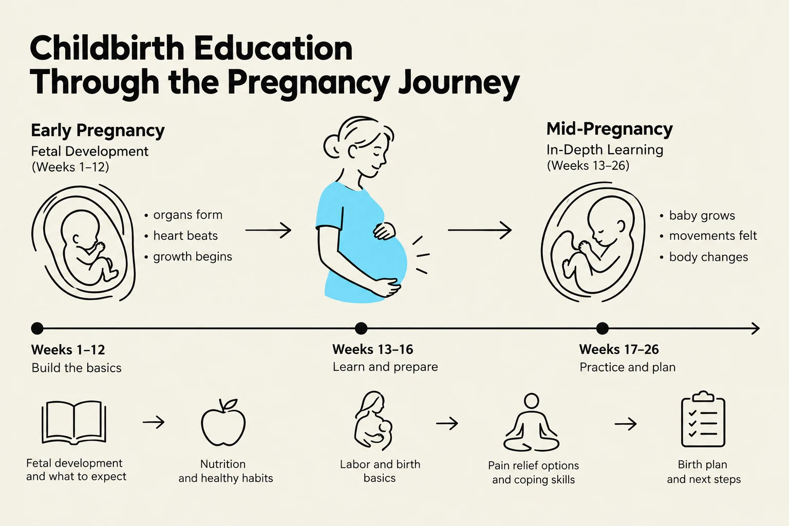 This diagram illustrates the stages of pregnancy, from early fetal development to mid-pregnancy, and outlines key educational topics for each stage, including fetal development, nutrition, labor basics, pain relief, and birth planning.