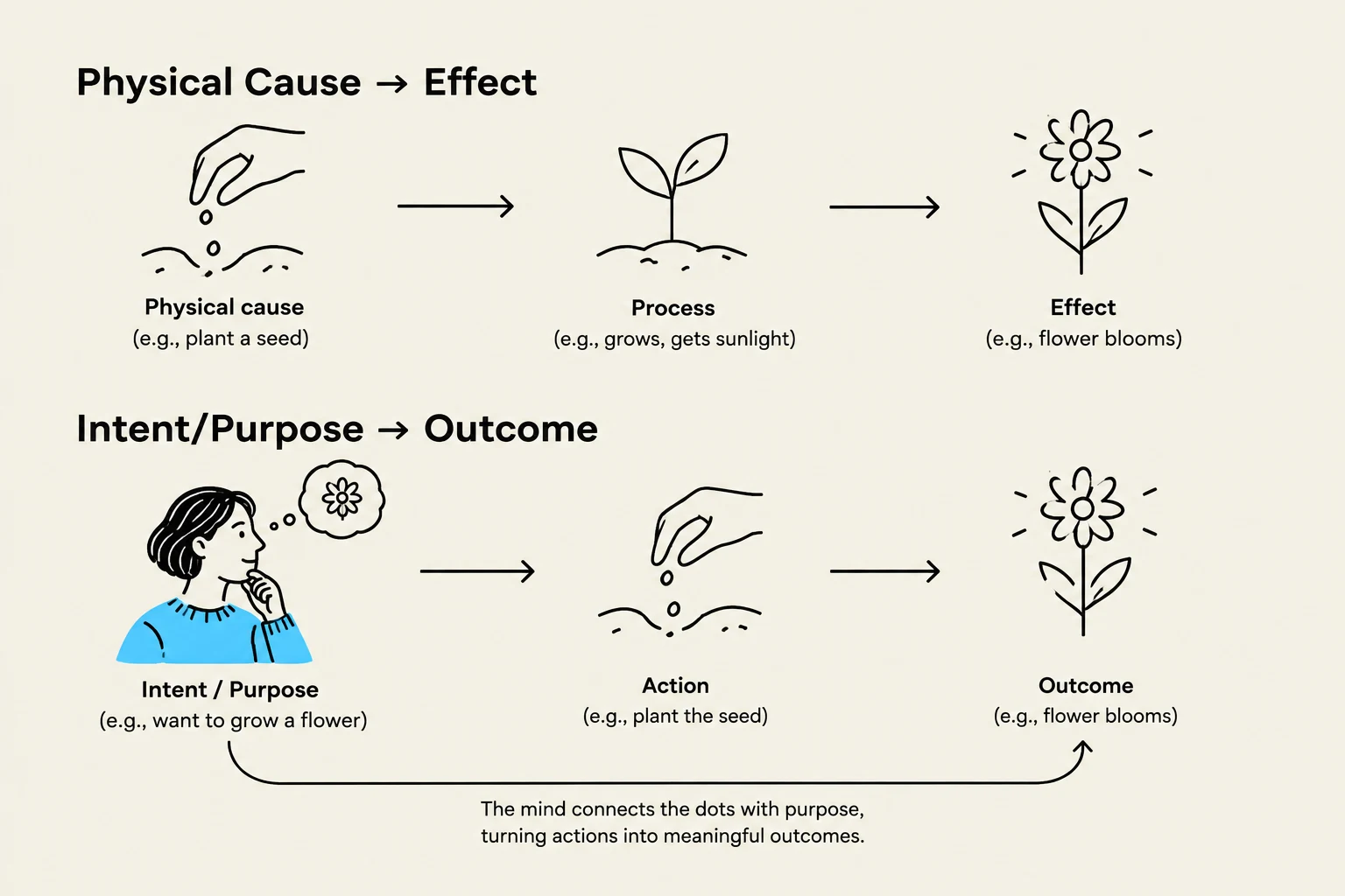 This diagram illustrates the difference between a physical cause-and-effect relationship and an intent/purpose-driven outcome, using the example of planting a seed to grow a flower.