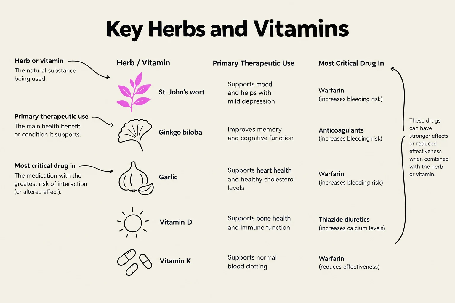 This chart outlines key herbs and vitamins, their primary therapeutic uses, and the most critical drugs they may interact with, along with potential effects of these interactions.