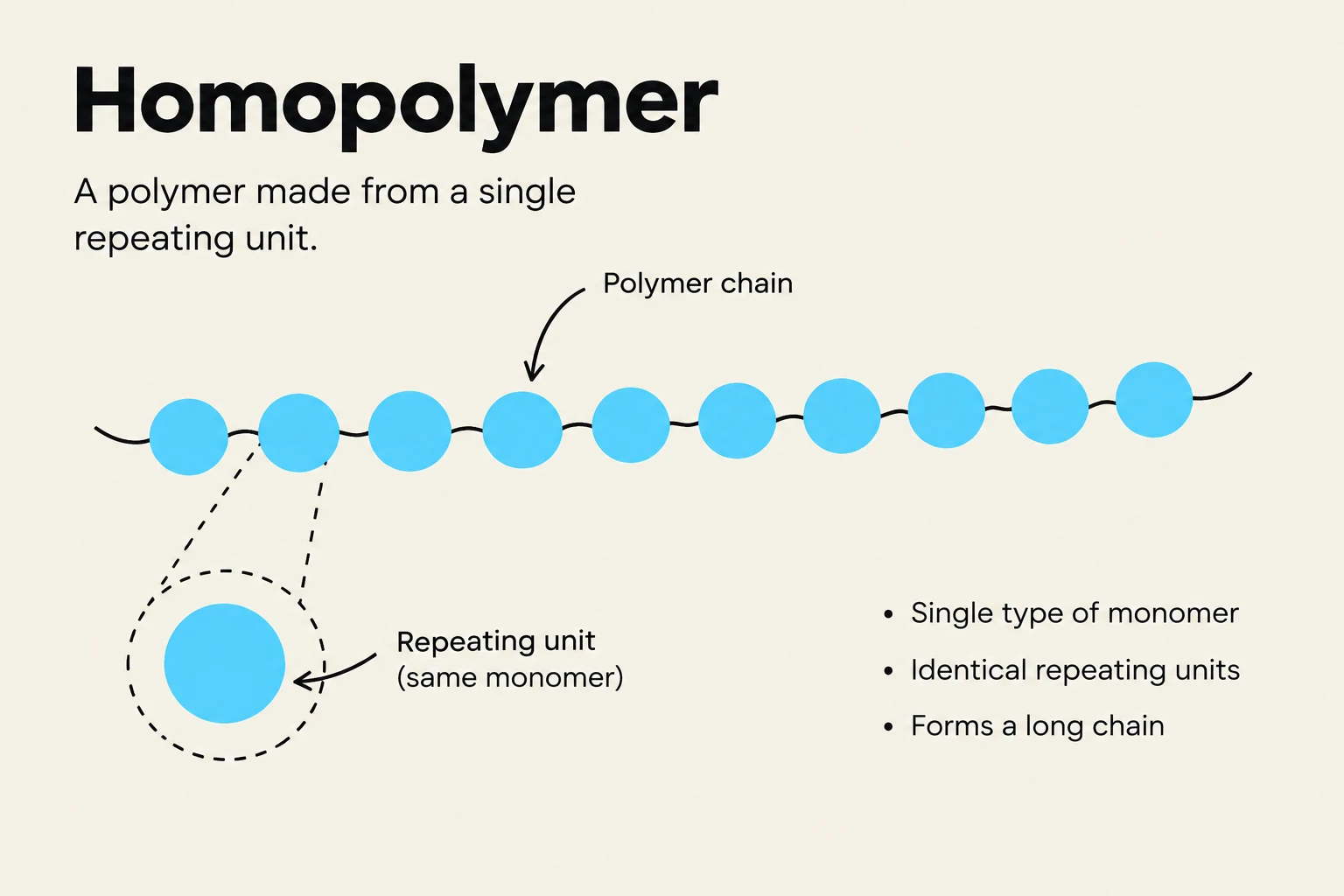 A homopolymer is a polymer composed of identical repeating monomer units, forming a long chain.