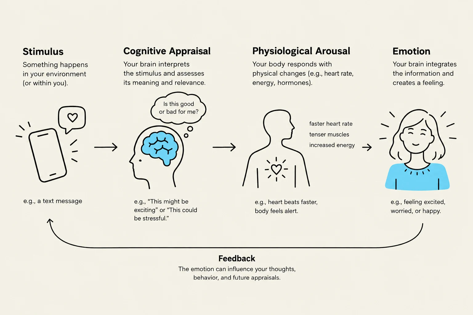 This diagram illustrates the process of emotion, starting with a stimulus, followed by cognitive appraisal, physiological arousal, and the resulting emotion, with a feedback loop influencing future appraisals.
