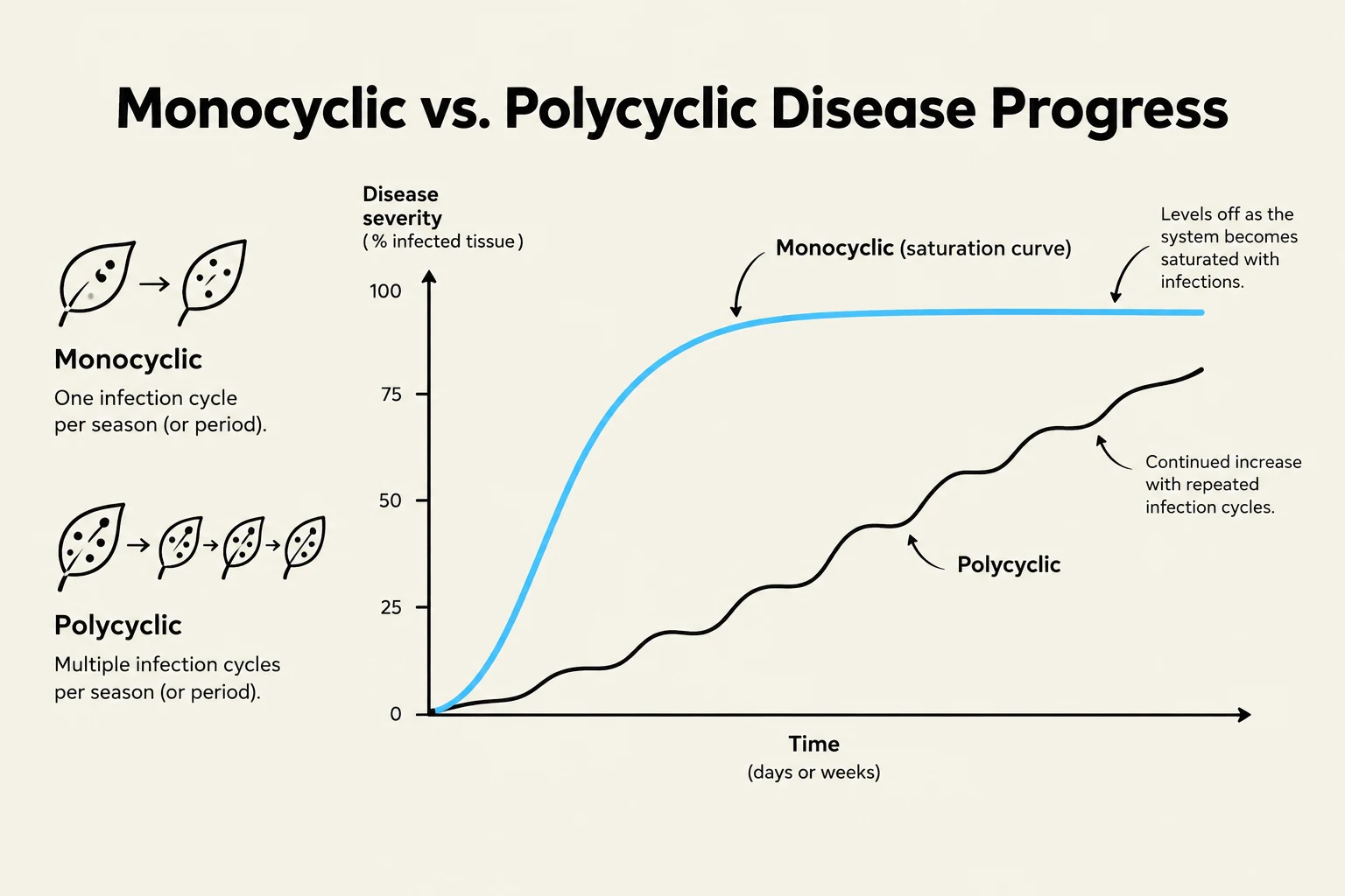 This graph illustrates the difference between monocyclic and polycyclic disease progression. Monocyclic diseases have one infection cycle per season, leading to a saturation curve where severity levels off. Polycyclic diseases have multiple infection cycles per season, resulting in continued increases in severity with each cycle.