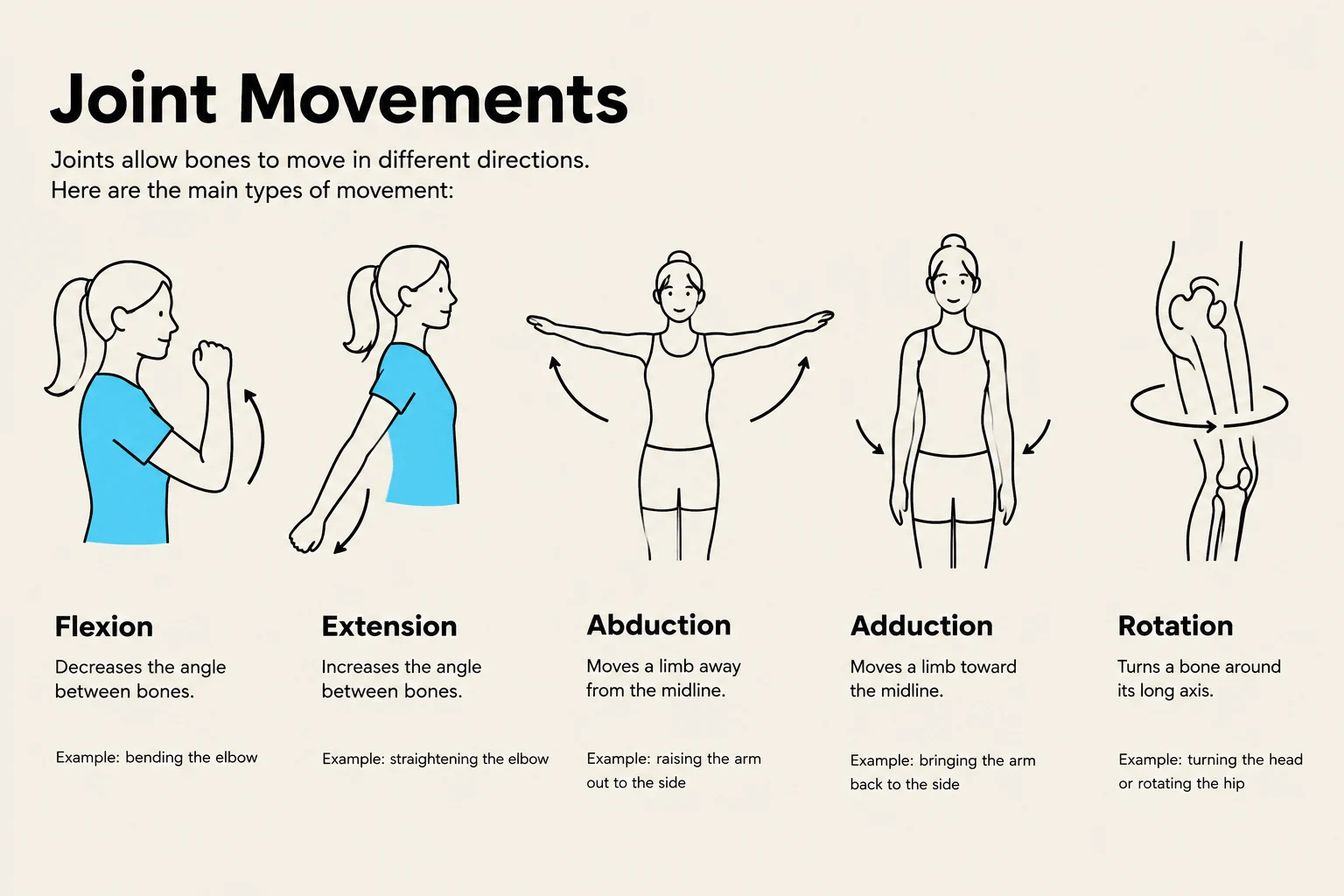 This illustration depicts and defines five types of joint movements: flexion, extension, abduction, adduction, and rotation, with accompanying diagrams and examples.