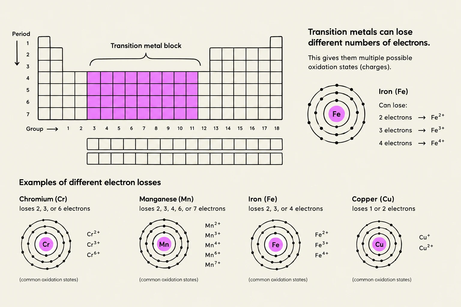 This illustration explains the concept of transition metals losing varying numbers of electrons, leading to multiple oxidation states. It shows examples with Chromium, Manganese, Iron, and Copper, illustrating their electron configurations and common oxidation states.