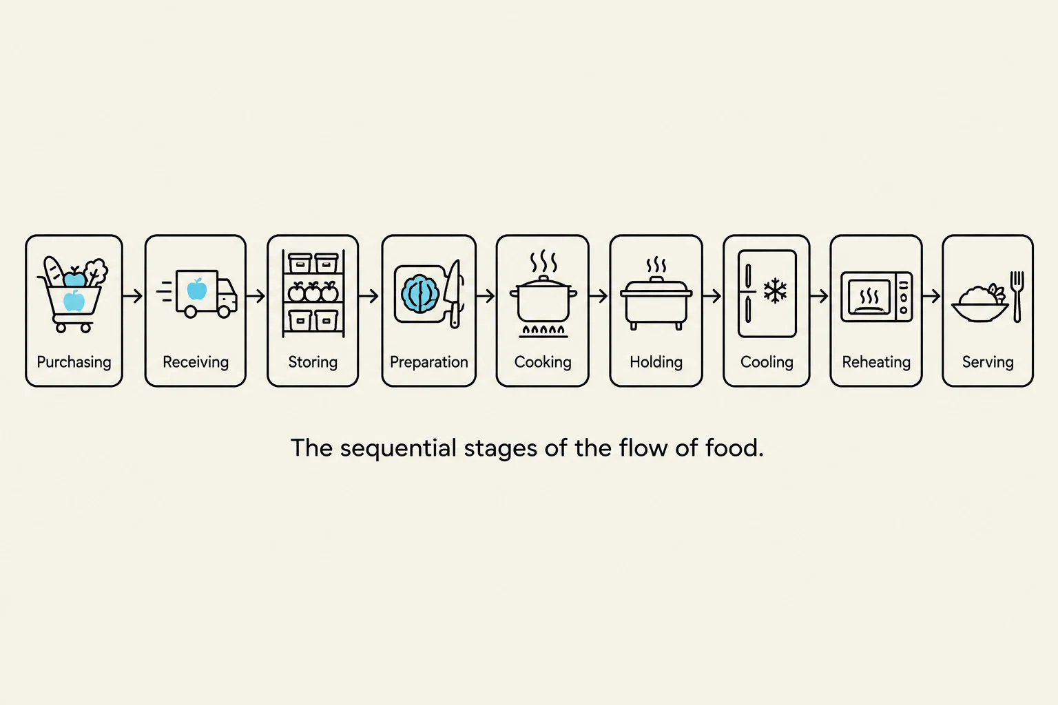 The sequential stages of the flow of food, from purchasing to serving.