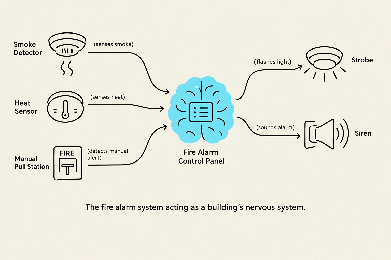 Diagram illustrating the components and function of a fire alarm system, comparing its operation to a building's nervous system.