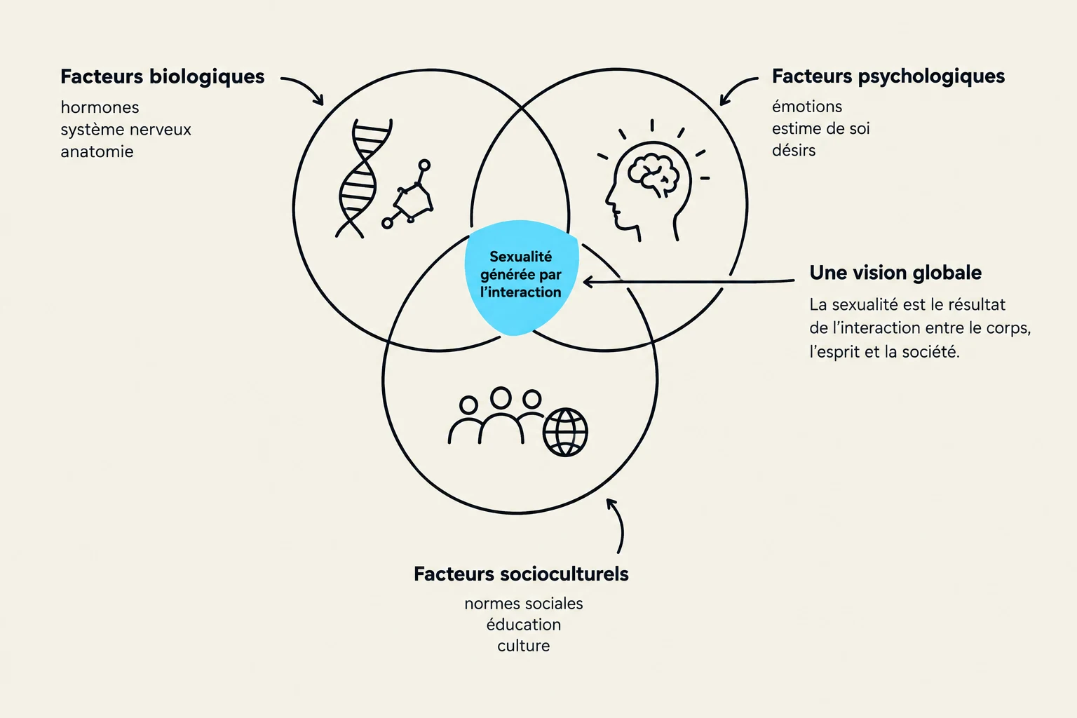 This diagram illustrates the multifaceted nature of sexuality, highlighting the interplay between biological, psychological, and sociocultural factors. It emphasizes that sexuality is a result of the interaction between the body, mind, and society.
