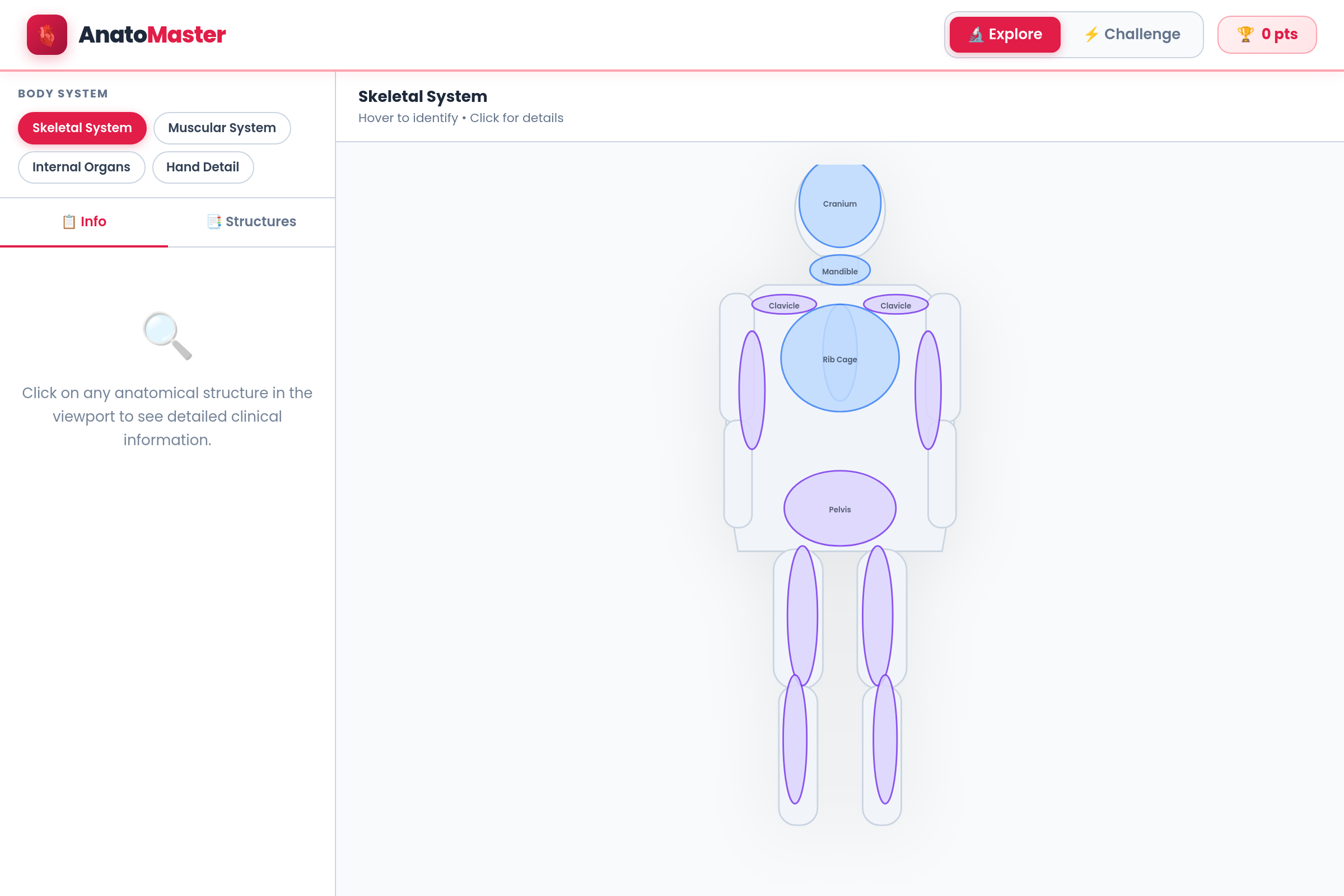 Anatomy Atlas mini app