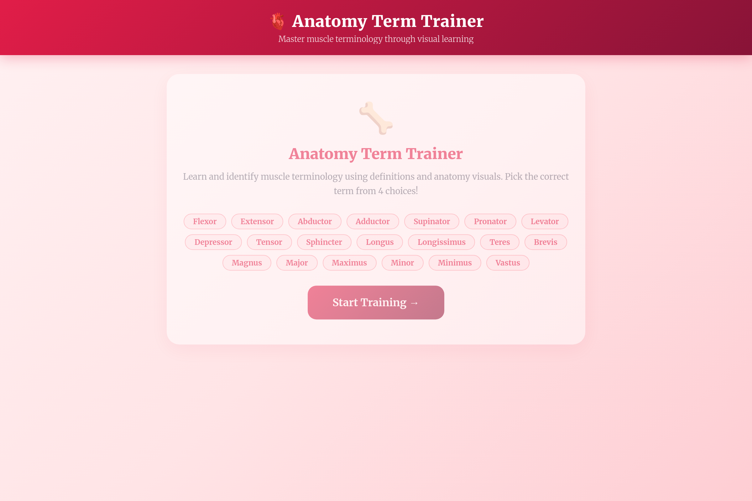 Muscle Action/Size Master Terms mini app