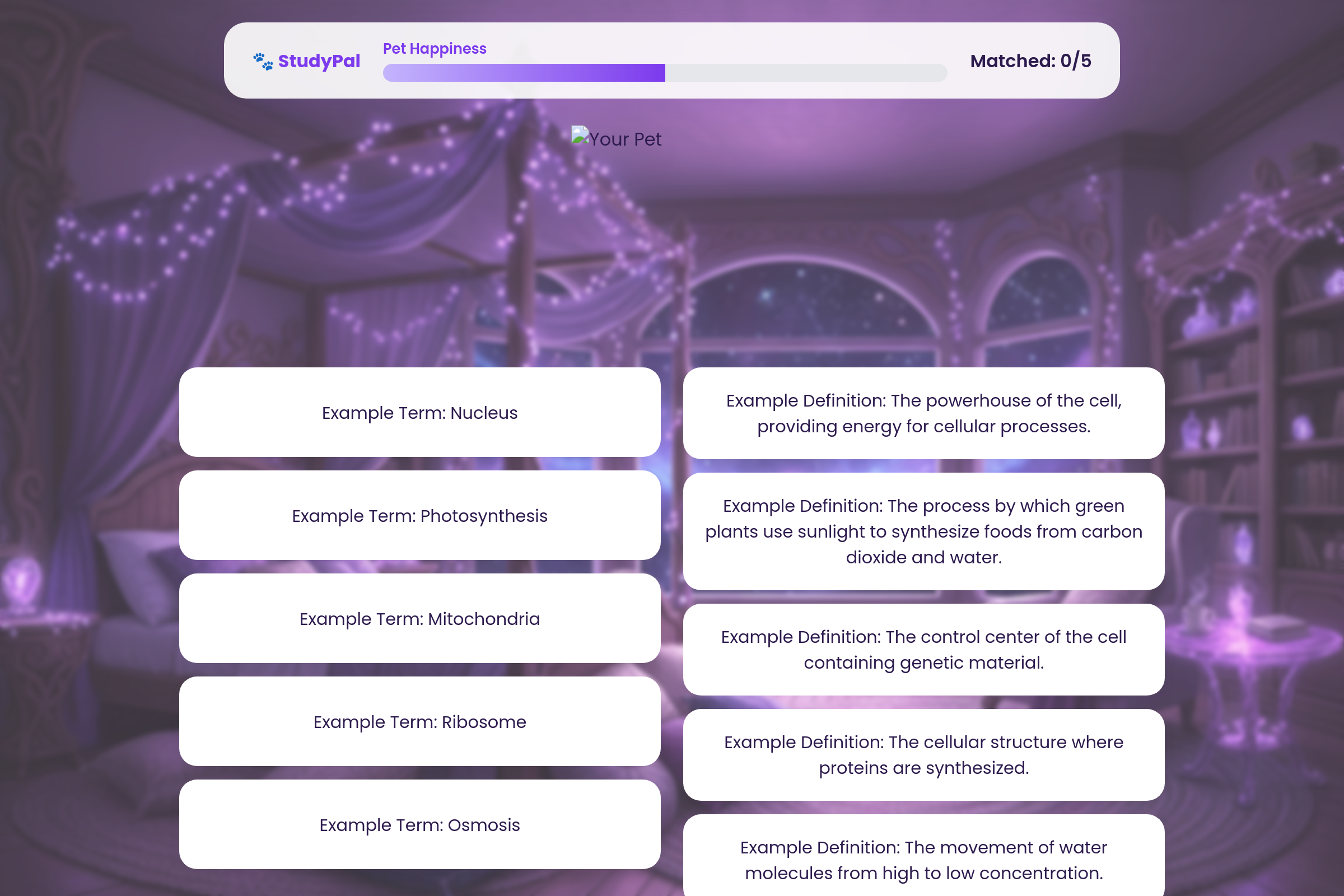 Pet Pal Quiz Econ mini app