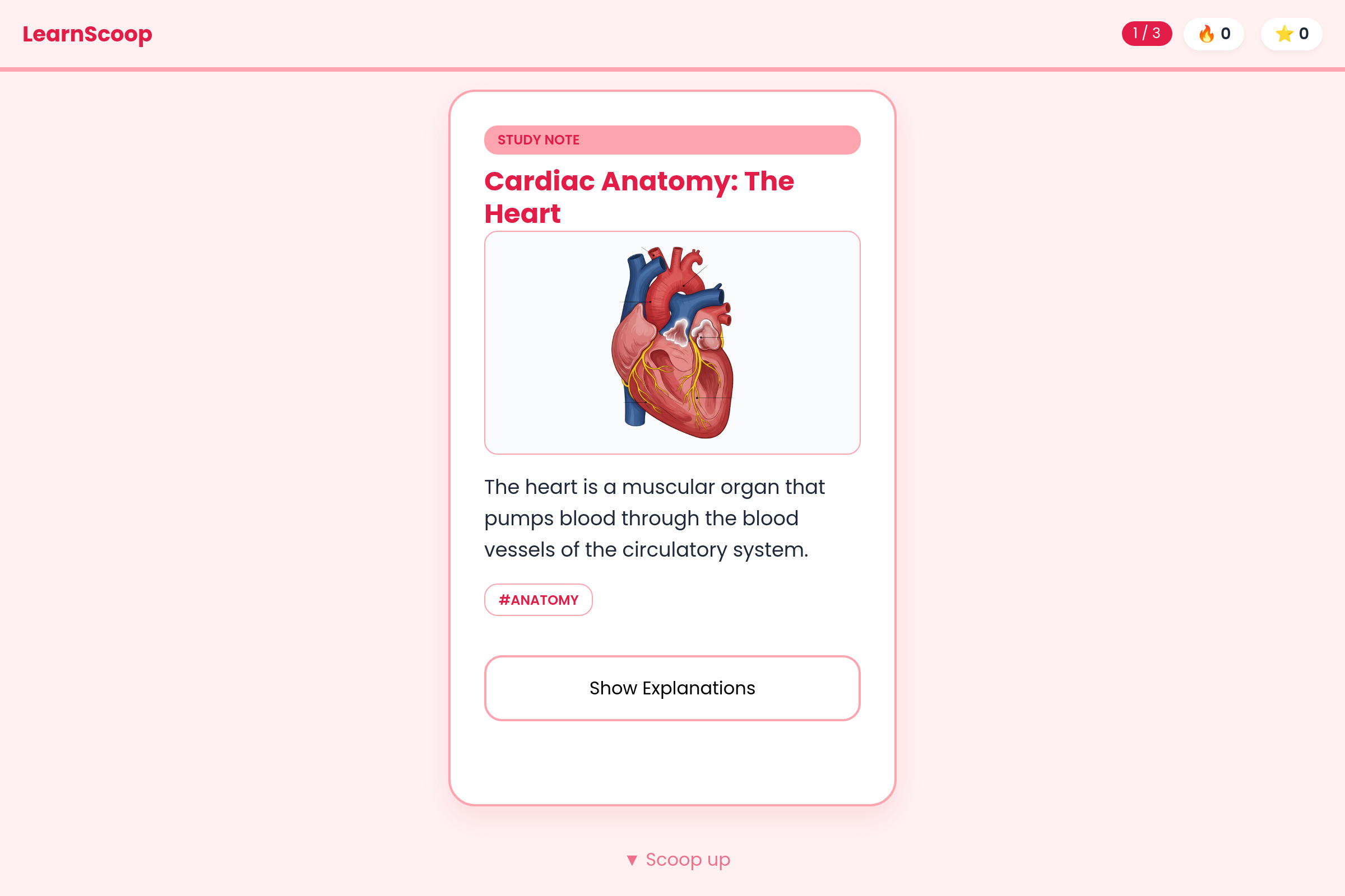 LearnTok mini app