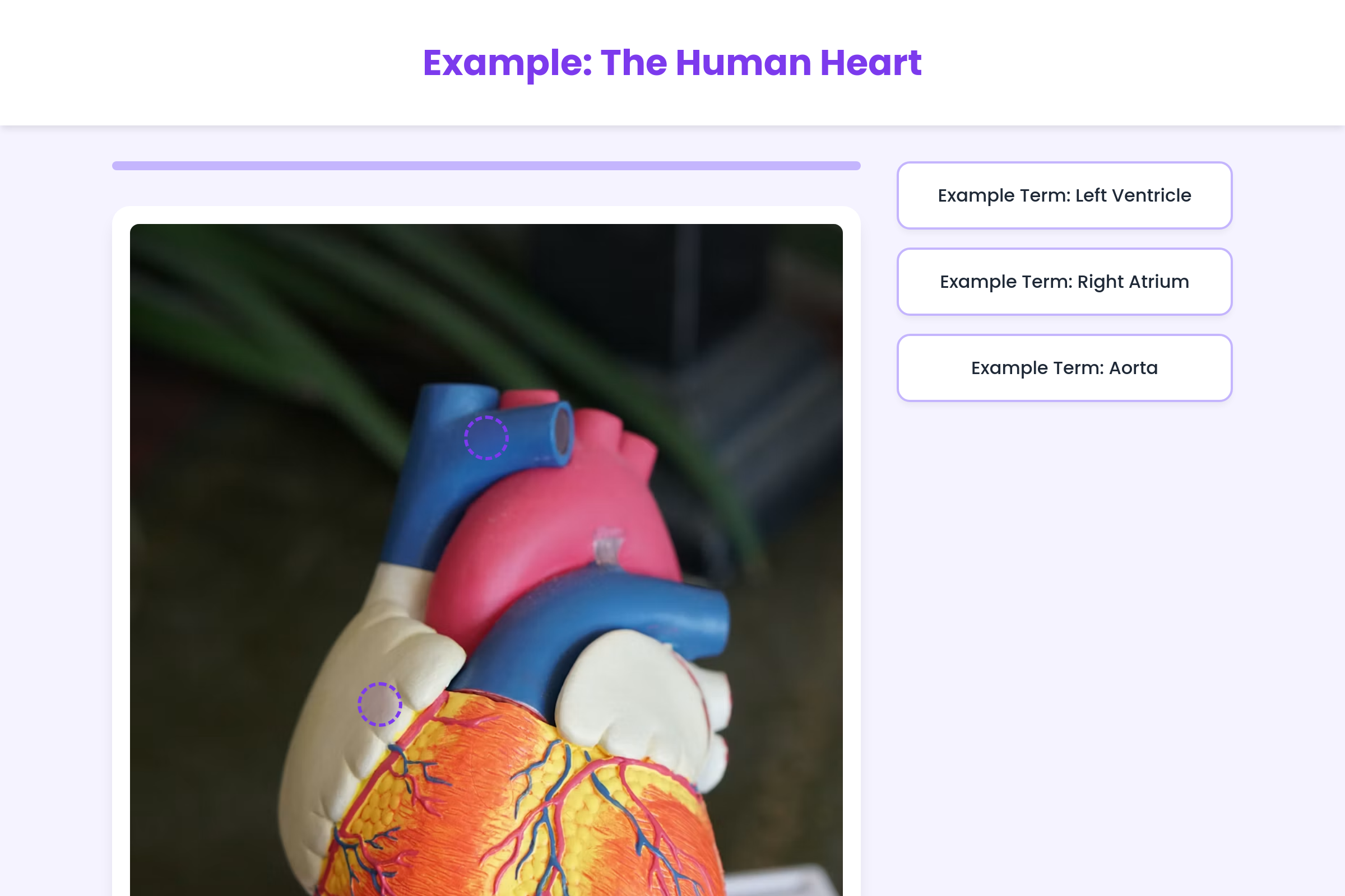 Anatomy Matcher mini app