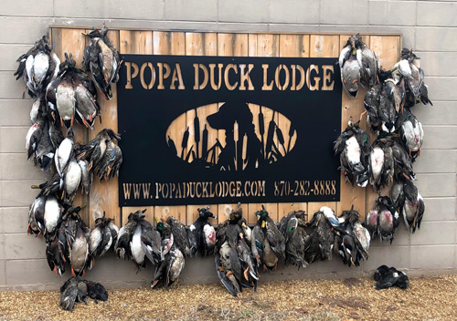 Popa Duck Lodge