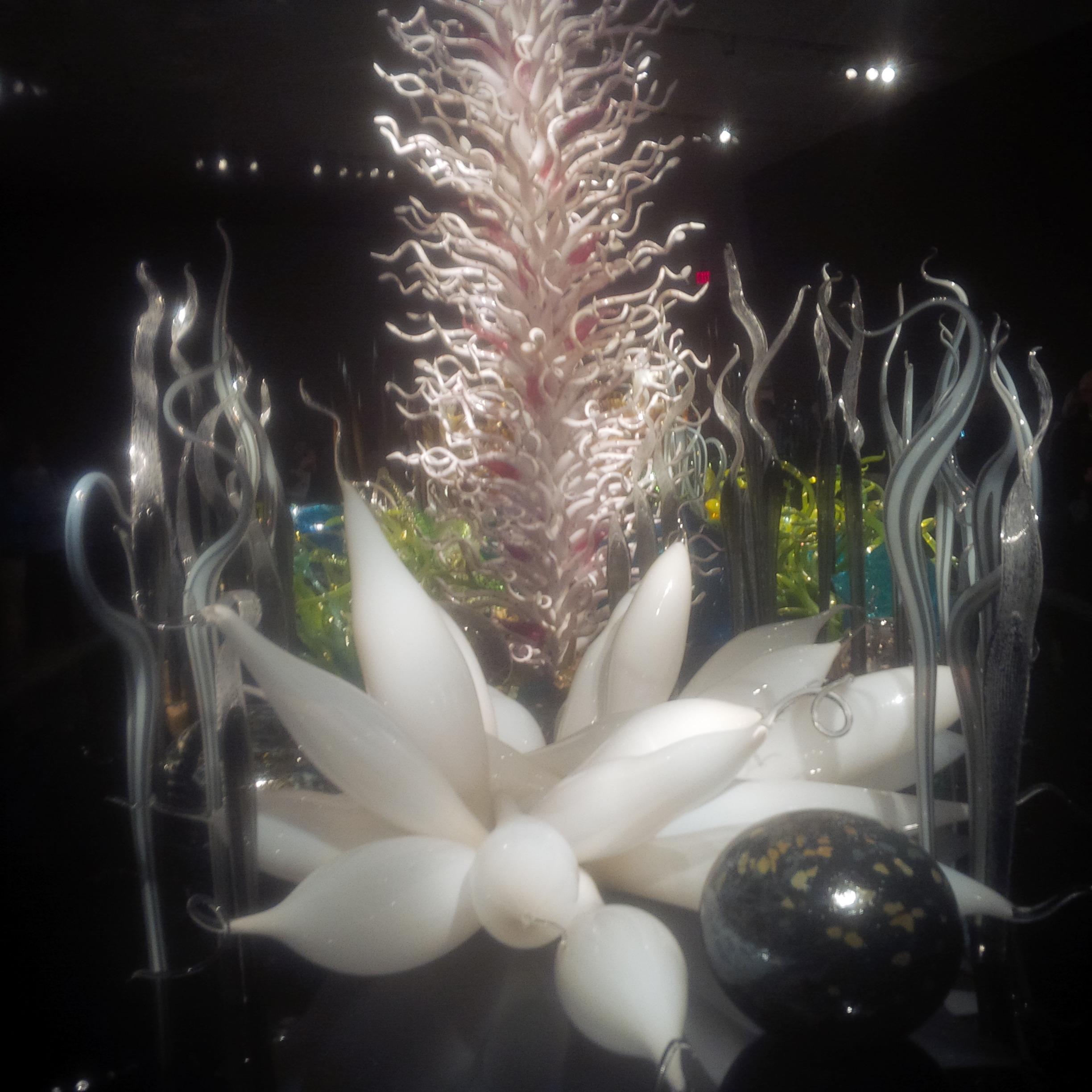 Dale Chihuly