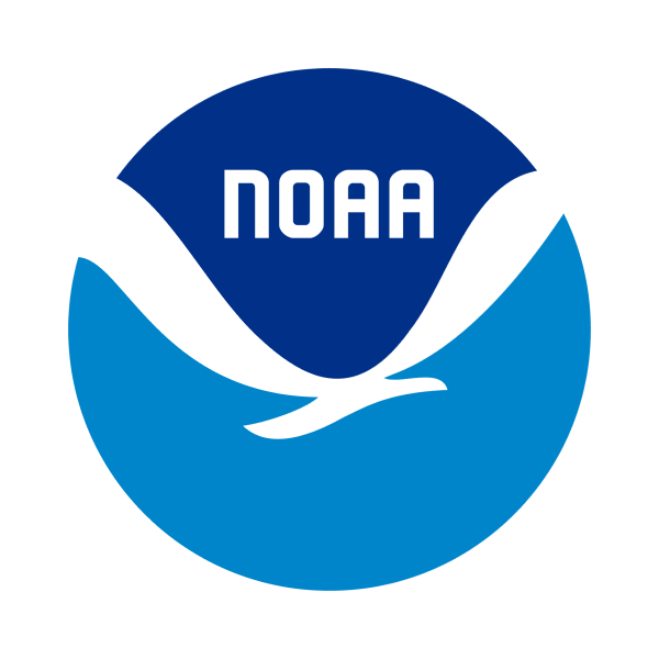 Marina Debris