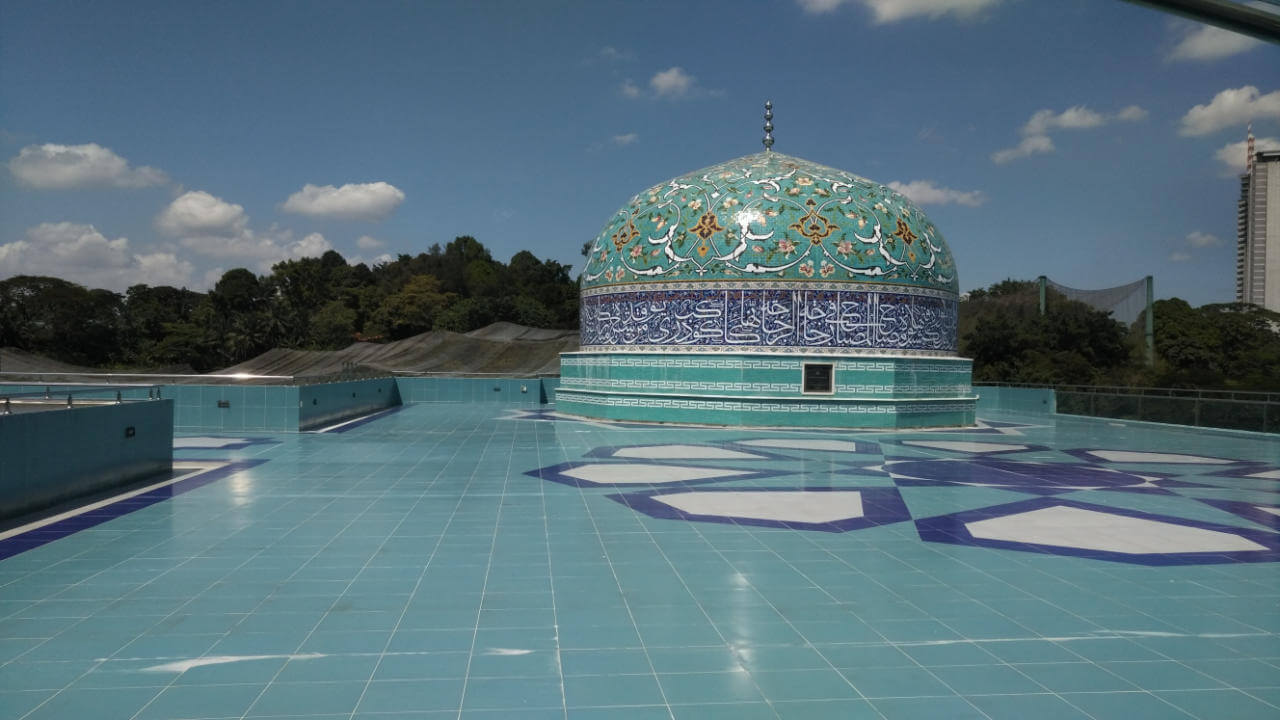 Sareh Heidari