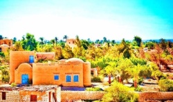 A thumbnail image