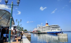 A thumbnail image