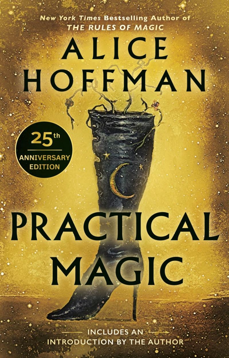 Cover of Practical Magic