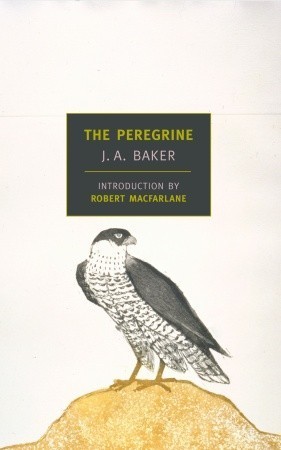 Cover of The Peregrine