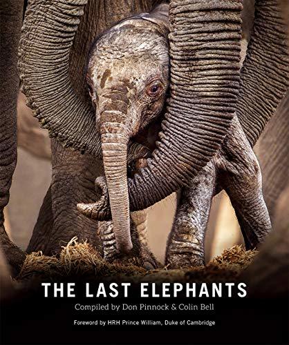 Cover of The Last Elephants