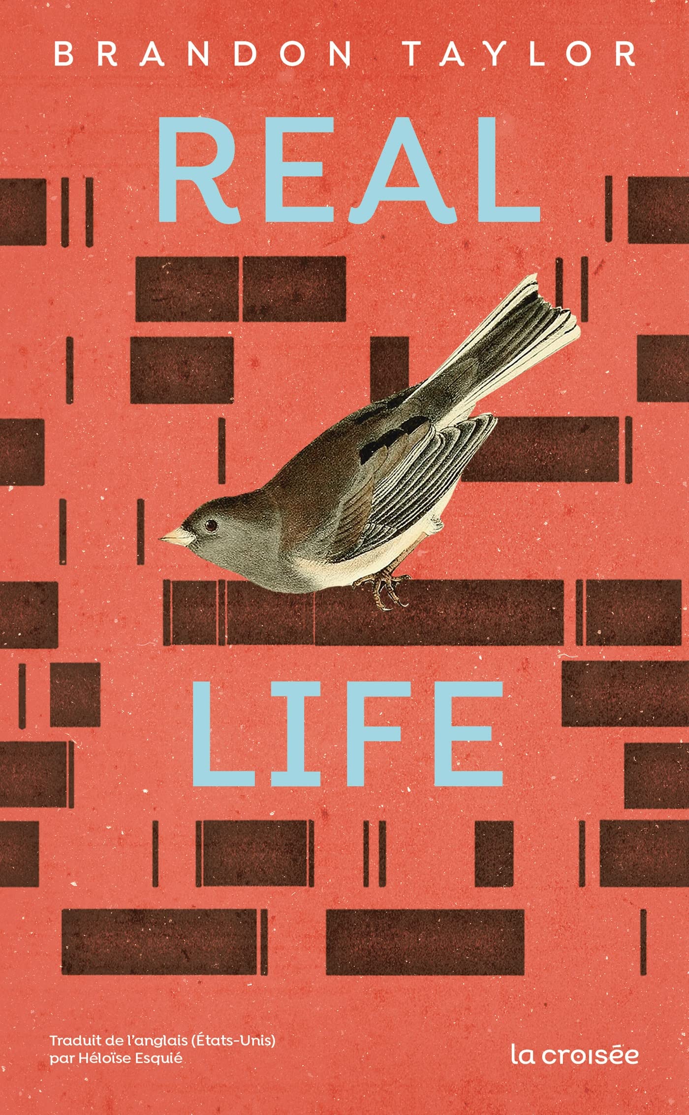 Cover of Real Life