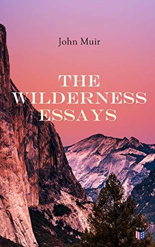 Cover of The Wilderness Essays