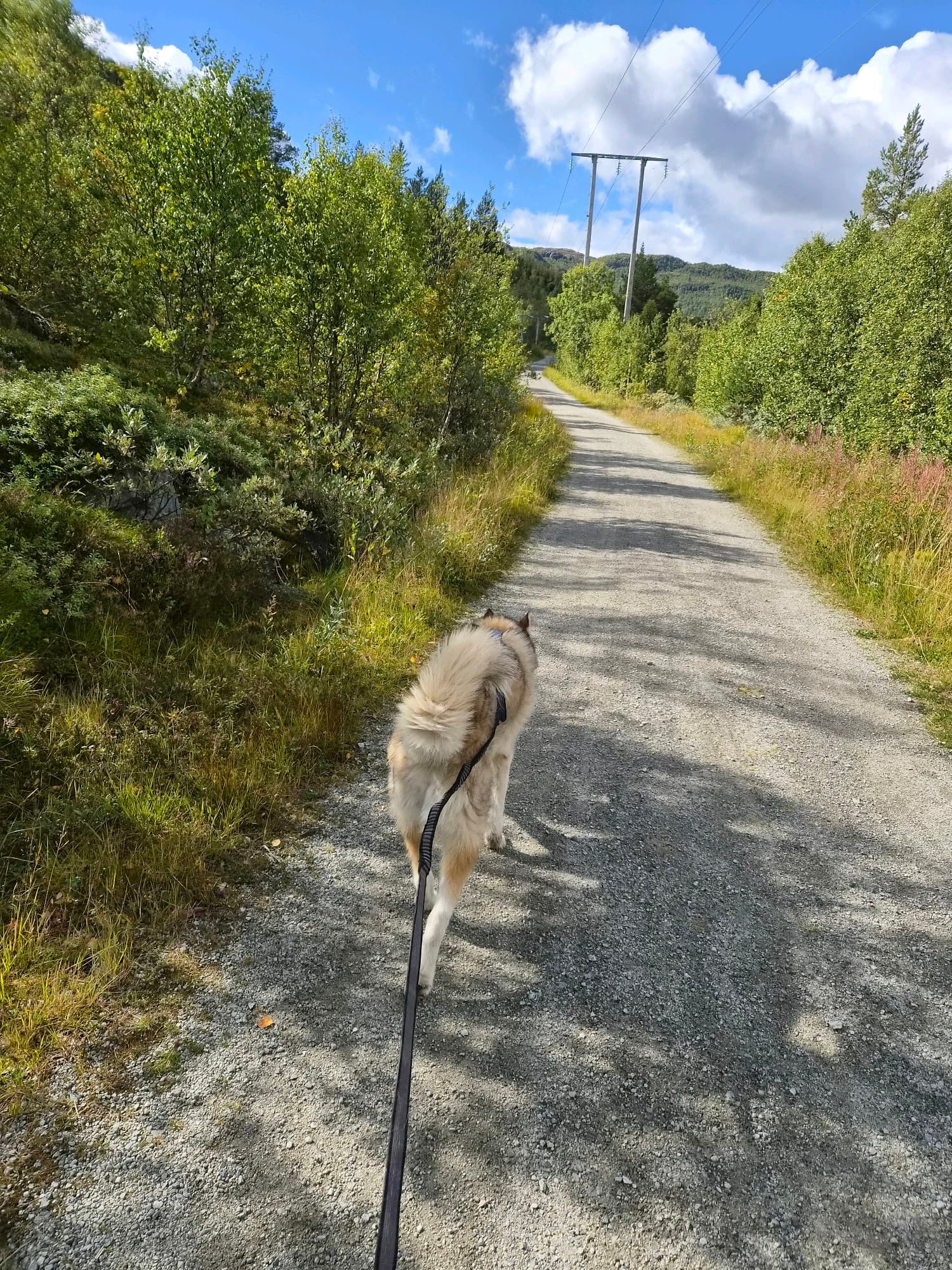 Kenai